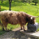 Ilona _Scharf_2023-05-07_Voerdere_Bild4-1