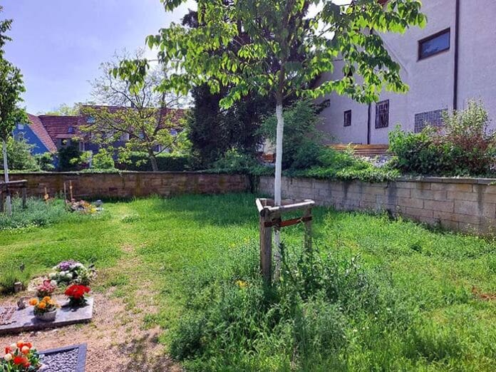 Ofi26_KW22_Friedhof_Ruit_Foto_Peter_Stotz copy