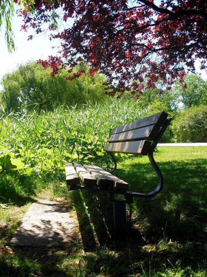 menita-idyll-297896 (1)