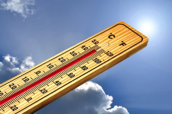geralt-thermometer-4767443 (1)