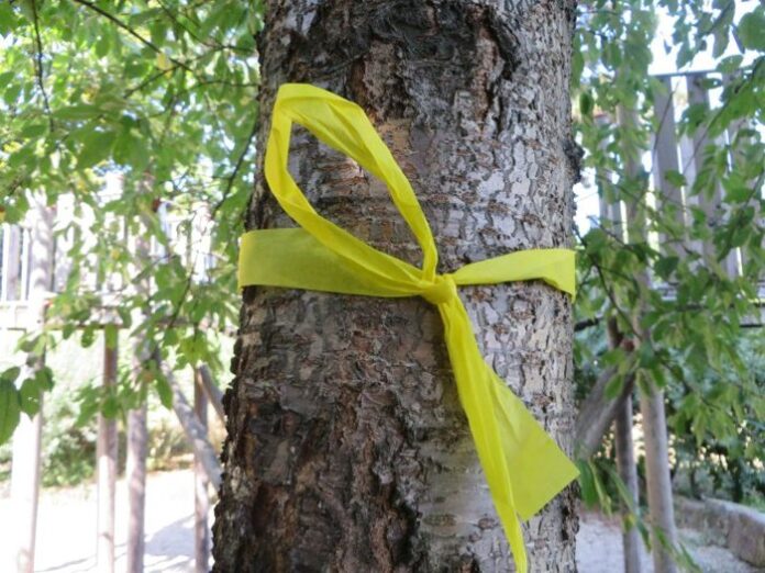Gelbes Band an einem Obstbaum in Filderstadt