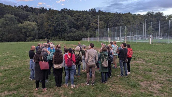 Gruppe von Teilnehmenden der Batnight steht in der Dämmerung auf einer Wiese am Waldrand