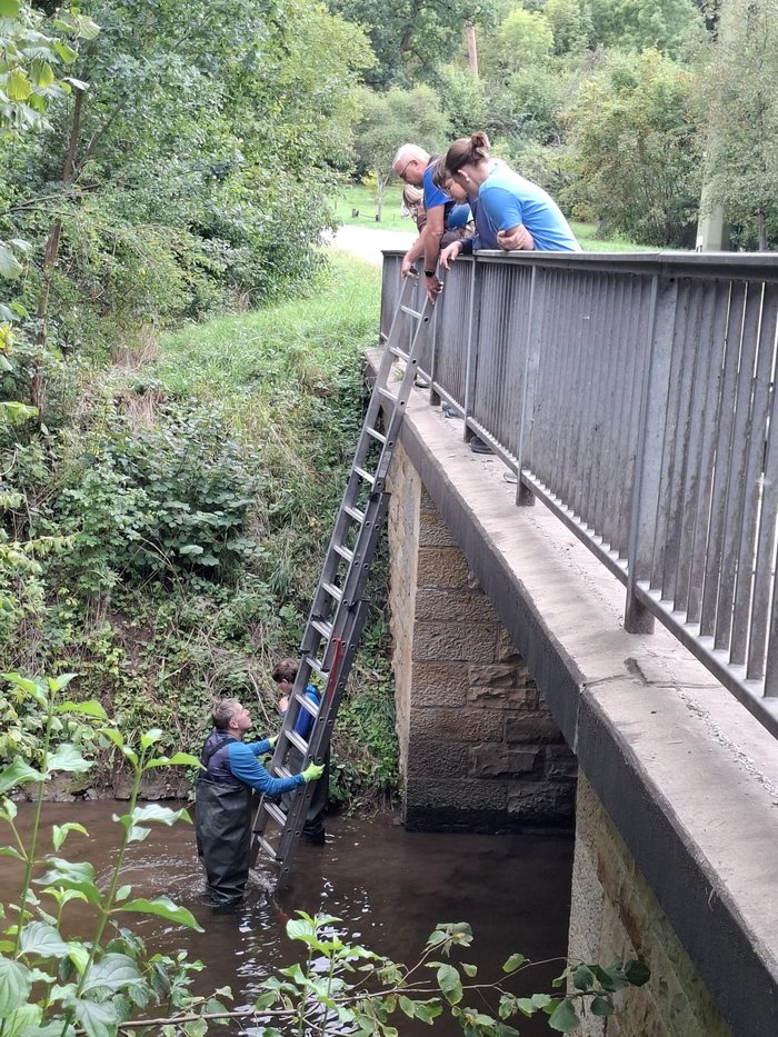 Helfer steigen über eine Leiter von der Brücke zum Bach hinab, weitere schauen vom Geländer aus zu