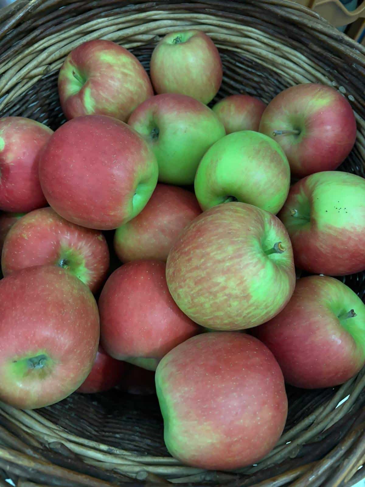Ein Korb mit rosa und grünen Äpfeln aus der Ernte der Edelbrennerei Aichele.