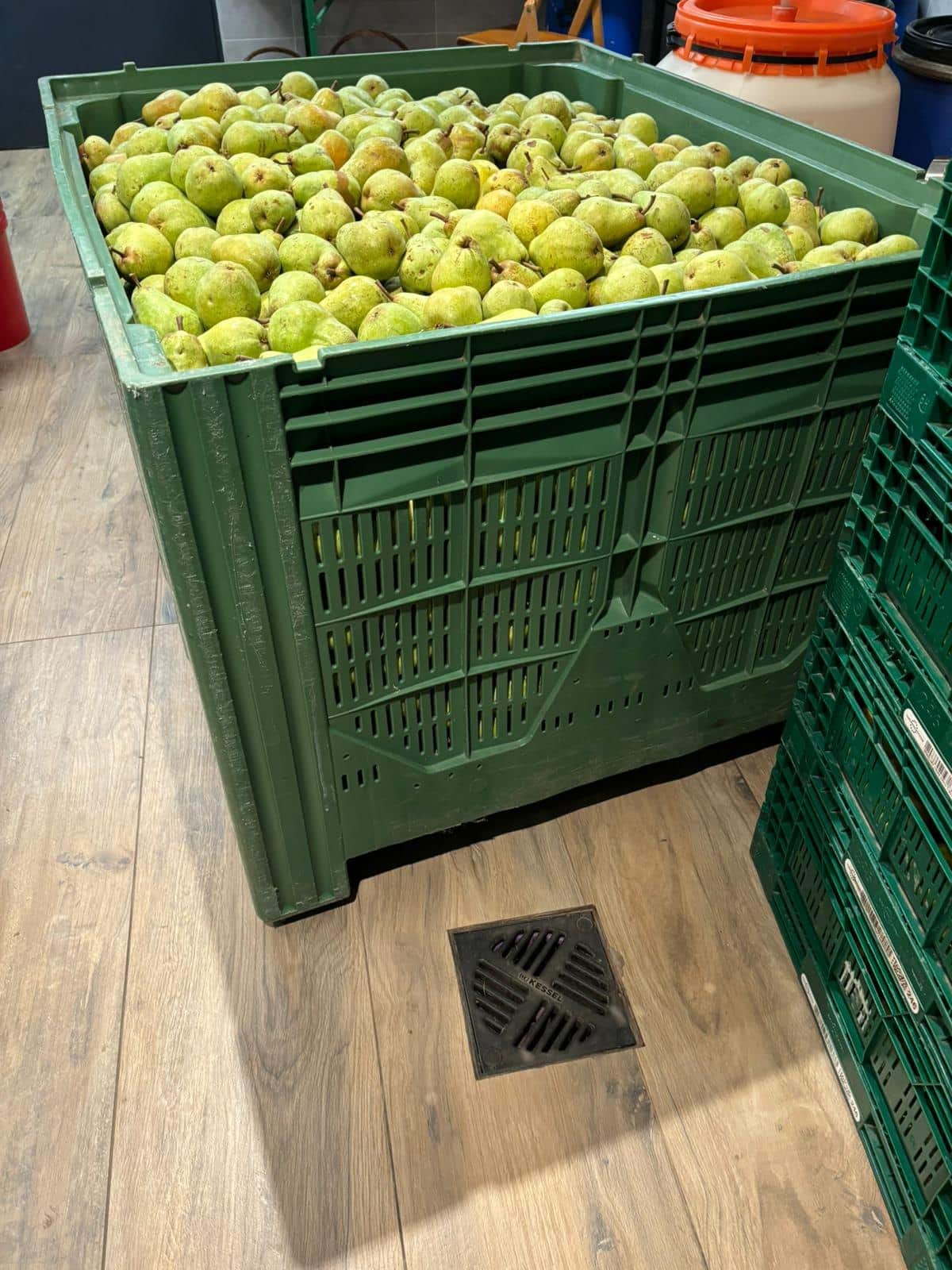 Eine große Kiste mit geernteten Birnen im Laden der Edelbrennerei Aichele.